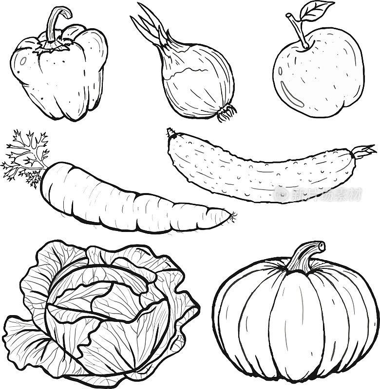 Vector illustration of vegetables collection in line art